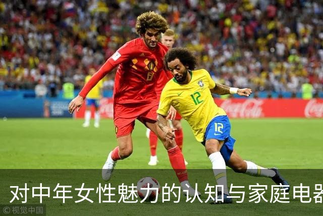 对中年女性魅力的认知与家庭电器安全隐患的探讨