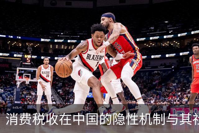 消费税收在中国的隐性机制与其社会心理影响